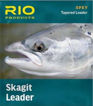 RIO Skagit Leader